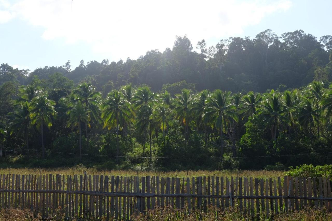 Palayan Paradise Huts San Vicente  Esterno foto